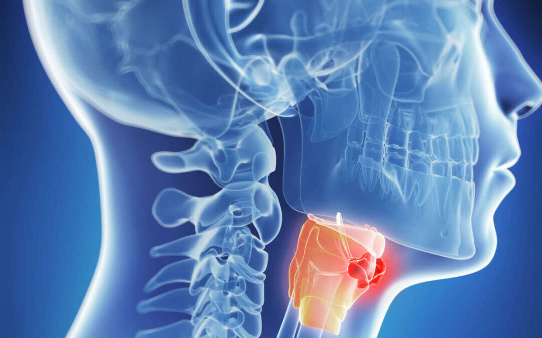 photo: medscannet.ru