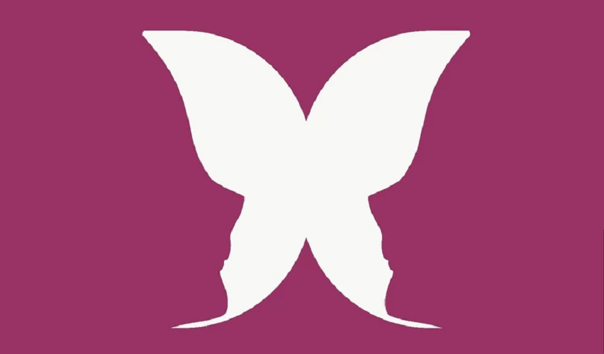 Что вы видите на изображении?