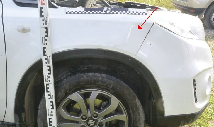 Виден загиб в передней части крыла