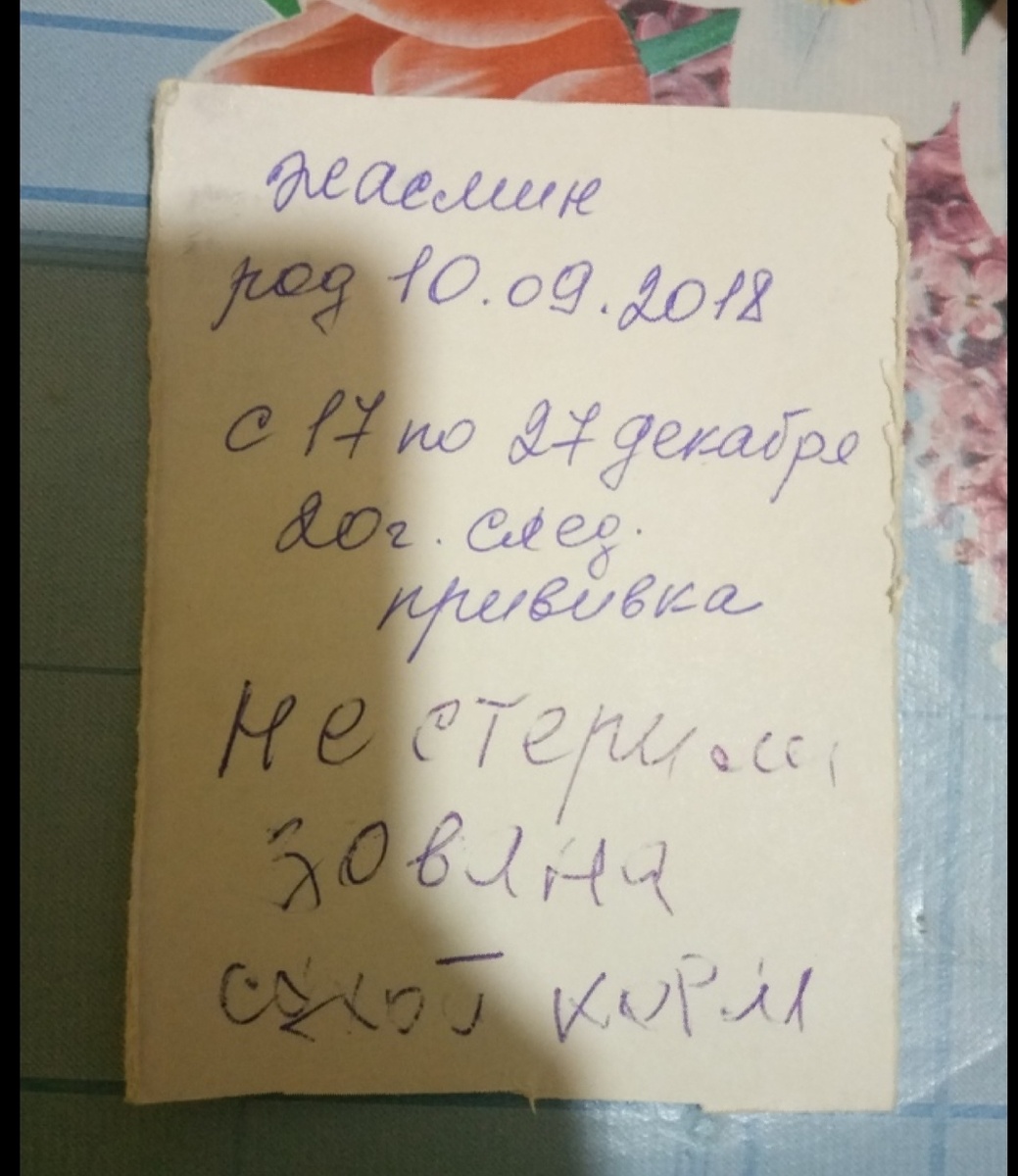 В коробке лежала записка