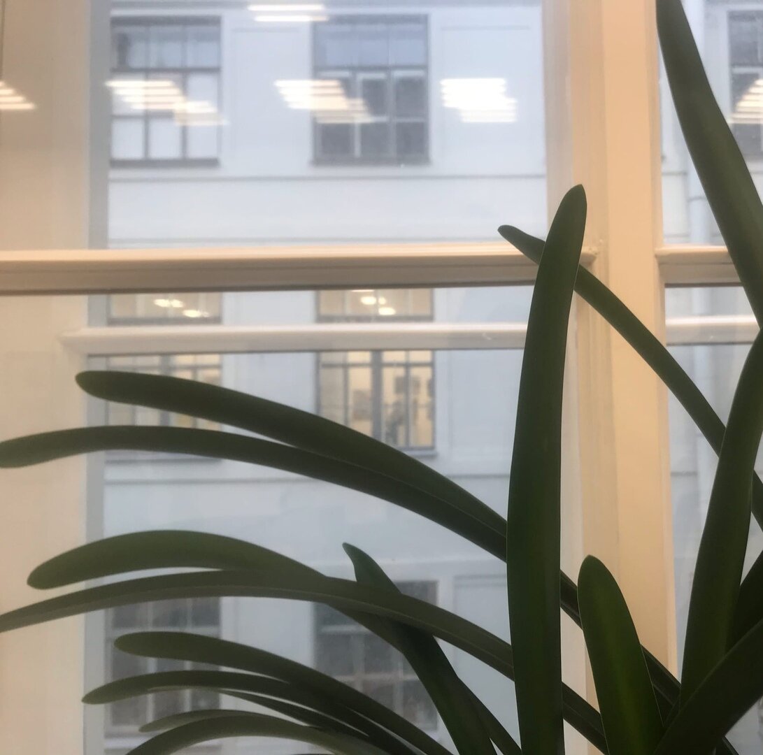 Вид из окна.