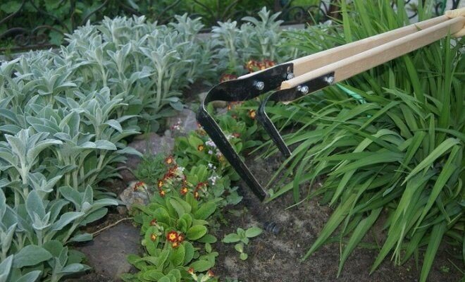 Плоскорезы Фокина. Фото взято из открытых источников.