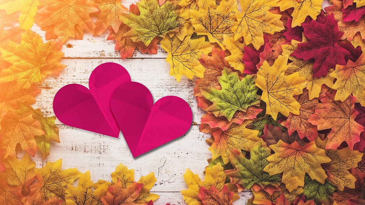 / Фото из источника Яндекс. Картинки /