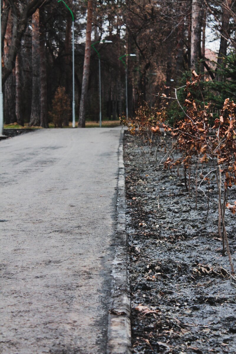 Грязь на тротуарах