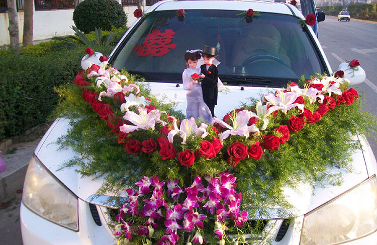 Фото yoycart.com