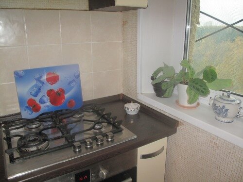 Всем характеристикам тогда отвечала модель от Whirlpool из нержавейки. 