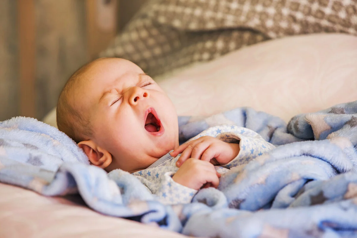 Источник изображения: Яндекс.Картинки