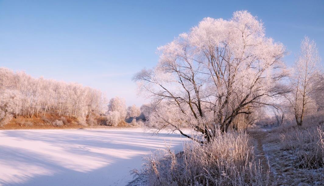 Фото — photocentra.ru