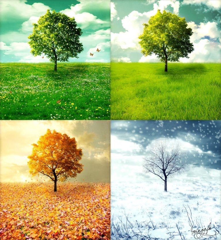 0b338c0bbad2f45914316150b5747fb4-768x832