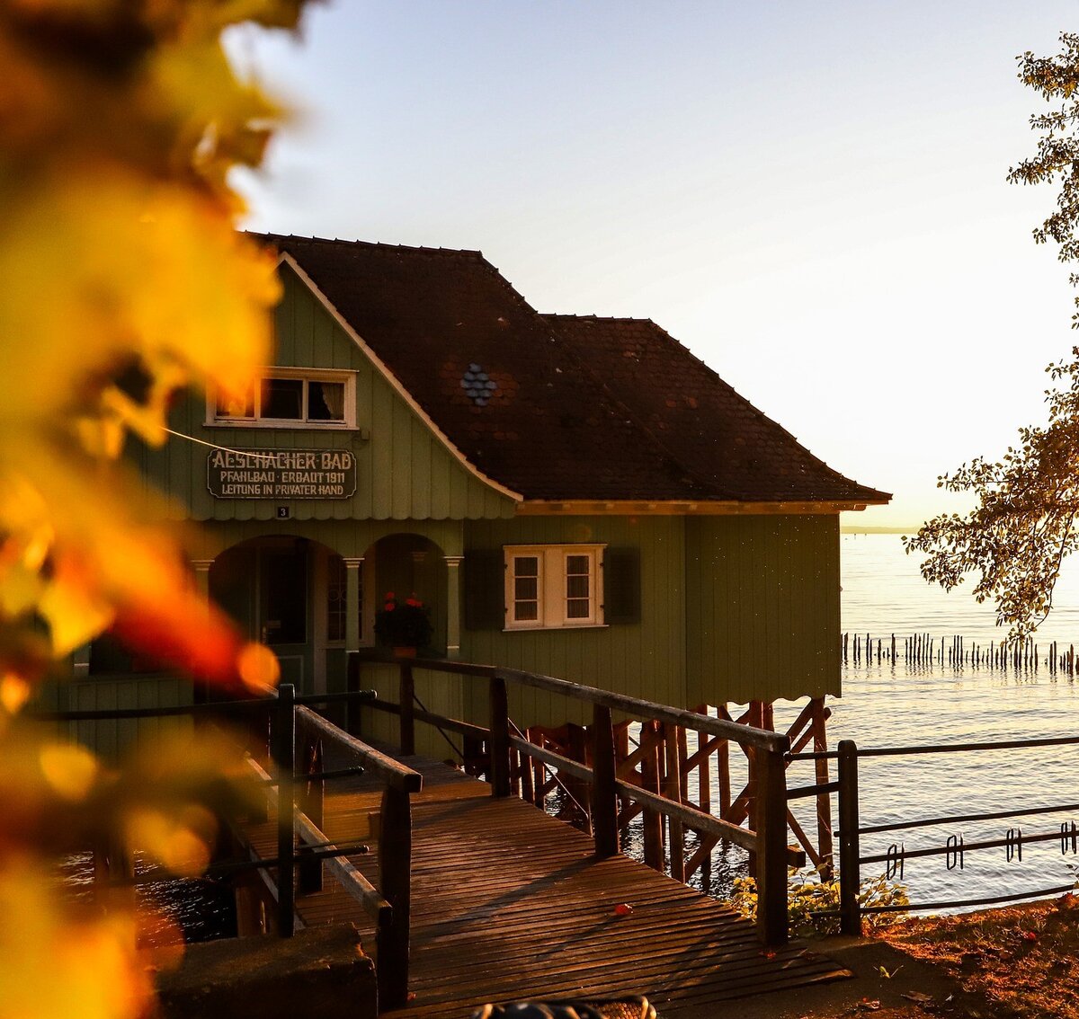 Фото из отрытых источников: pixabay.com