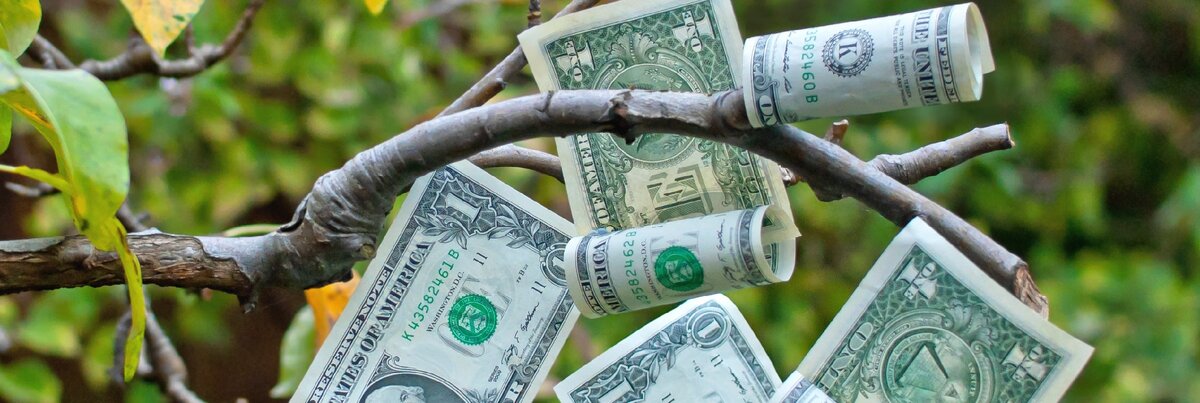 изображение из яндекс.картинки