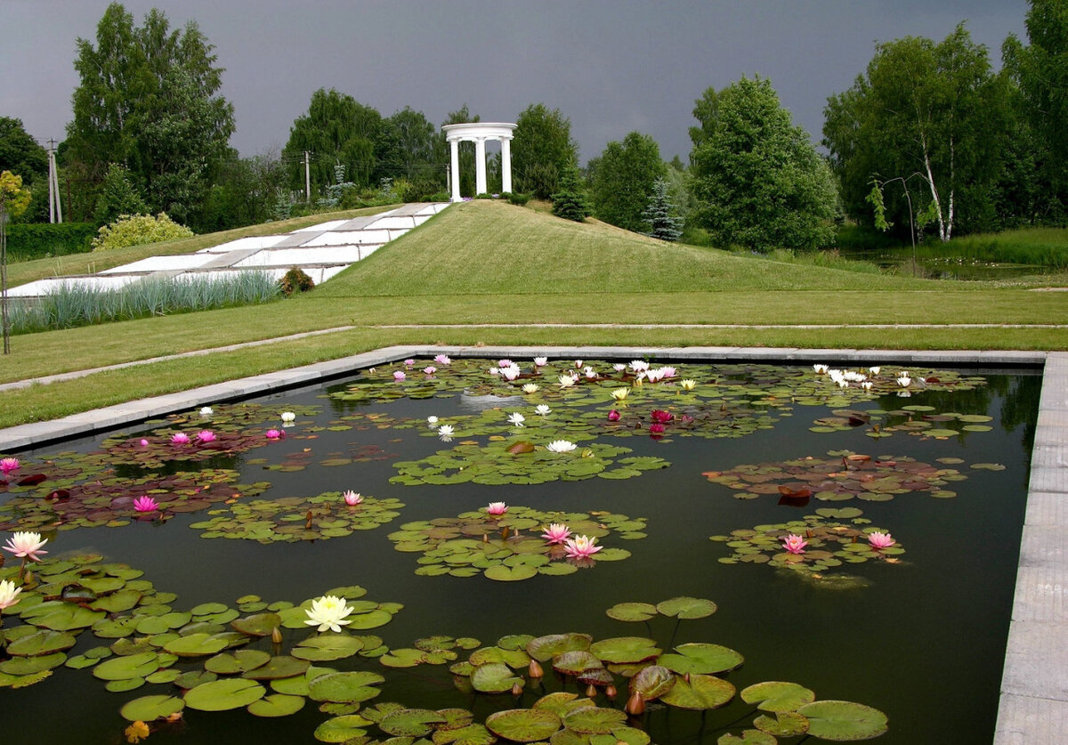 © Первый в России питомник для водных растений в ботаническом саду Москвы. Фото из поисковой сети