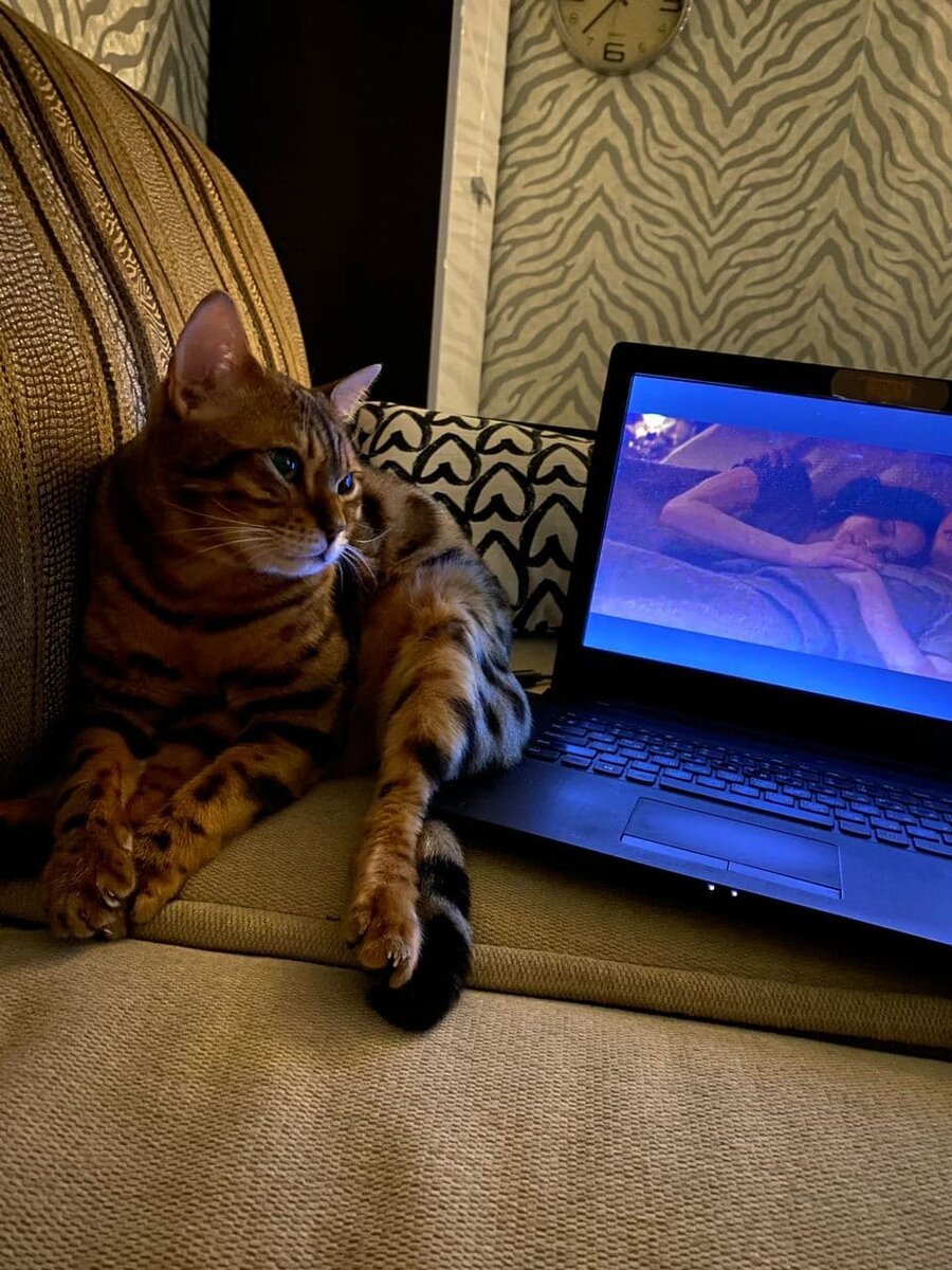 Ричард отдыхает. Снято на Iphone 11