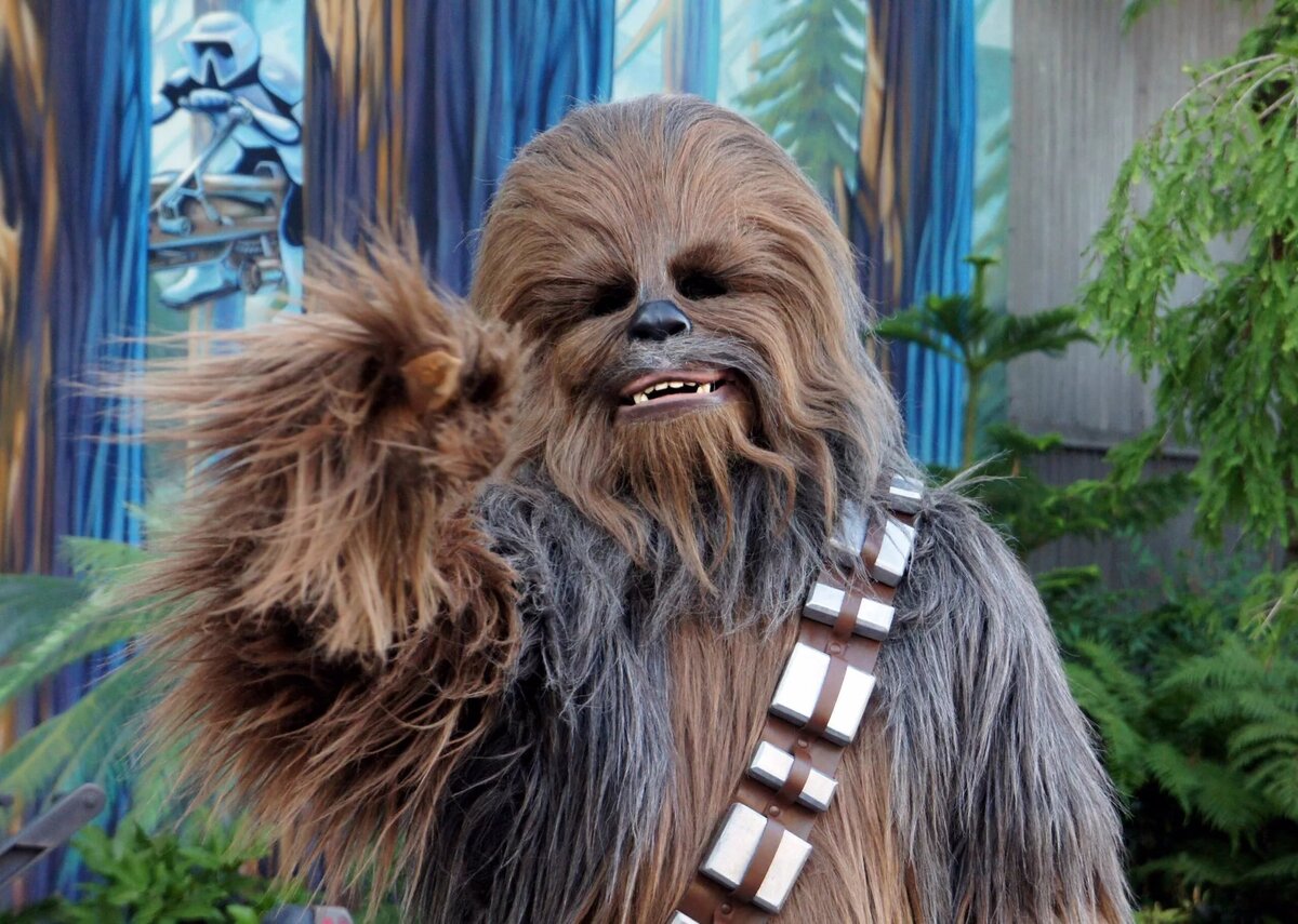 Чубаку. Герой из киновселенной  "Star Wars".