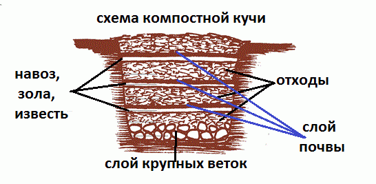 -5