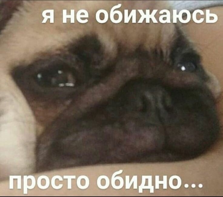 mood: