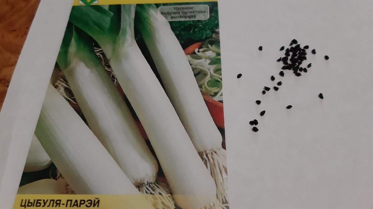 Семена лука порея . Фото автора.