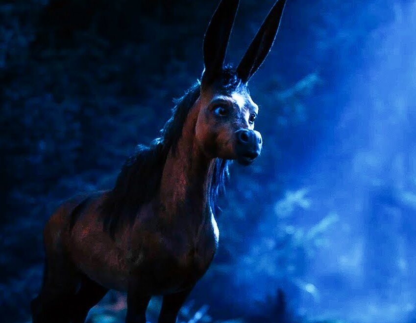 Изображение с Яндекс-картинок