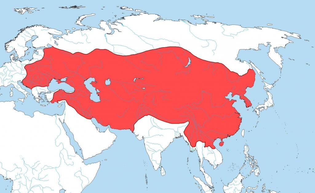 Как Чингисхану удалось завоевать полмира? | Факты мировой истории | Дзен