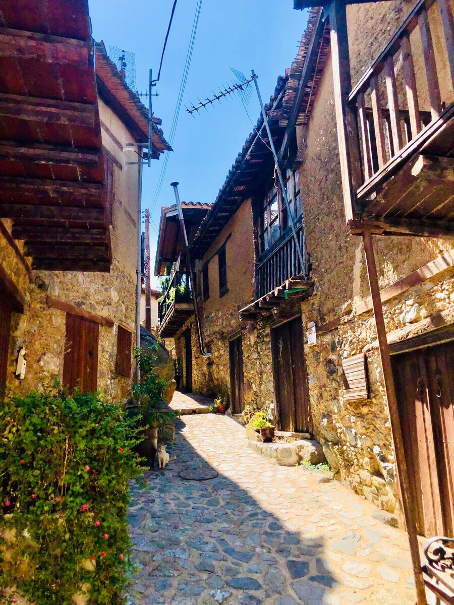 Какапетрия