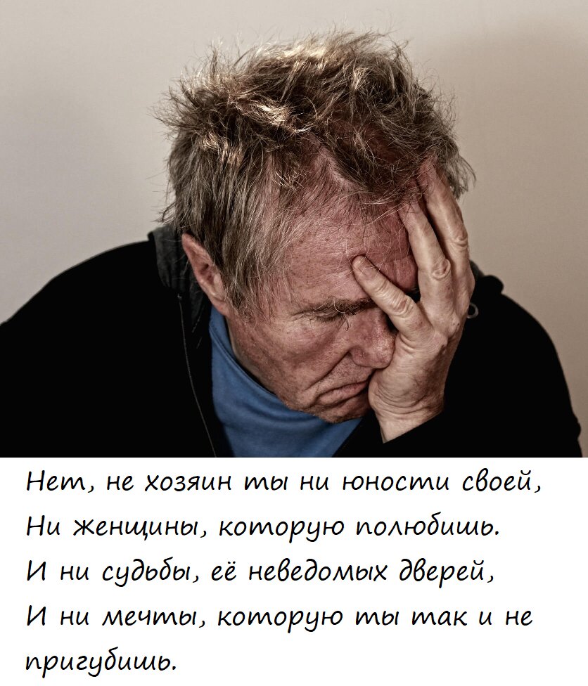 Комиссарики в картинках.