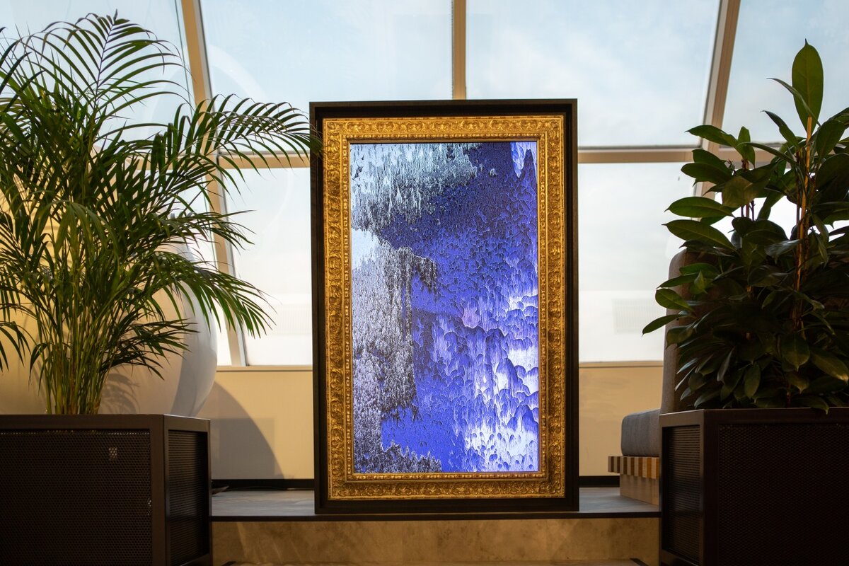 Предоставлено пресс-службой 