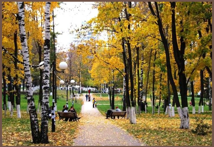 осень в парке