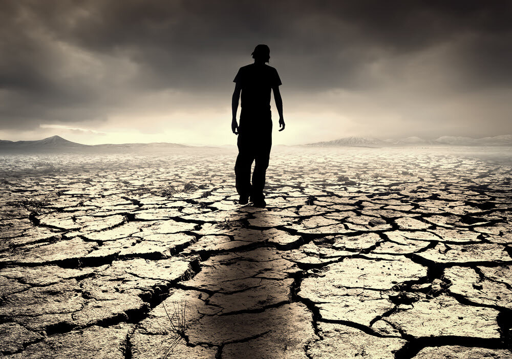 Фото взято из открытых источников