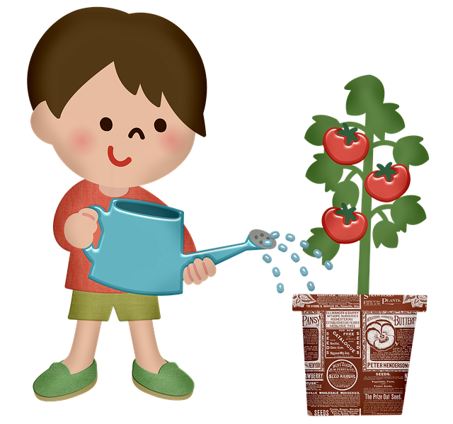 Изображение с сайта https://pixabay.com/ru/