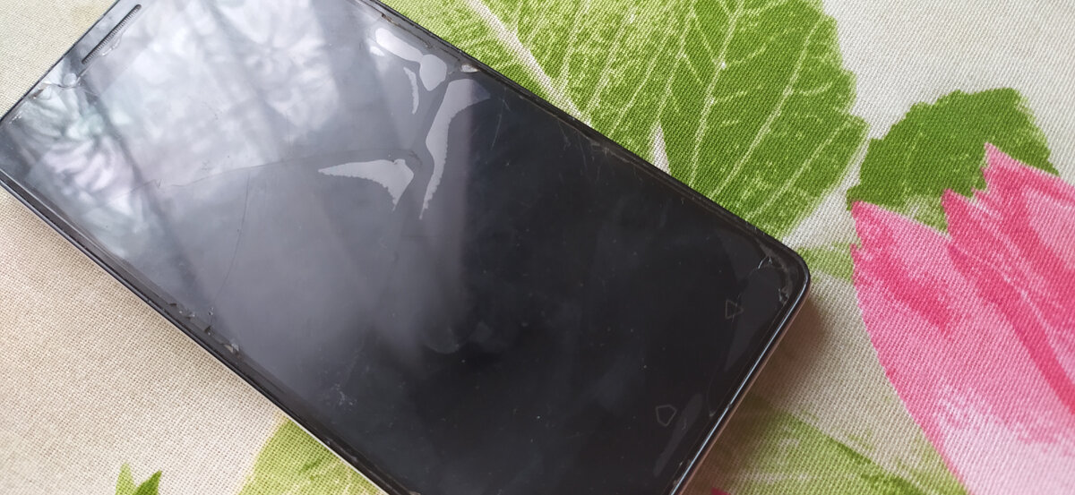 Личное фото автора.