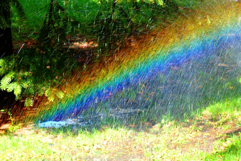 Rain time. Дождь для радуги. Дождик и Радуга. Дождь солнце Радуга. Ливень и Радуга.