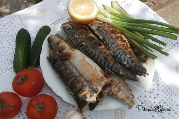 Что может быть вкуснее рыбки приготовленной с дымком в выходной день или праздничный день на природе!