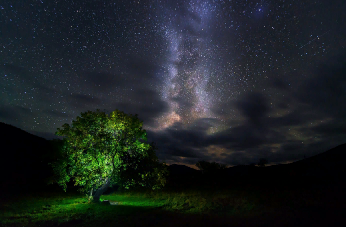 Источник: Яндекс Картинки