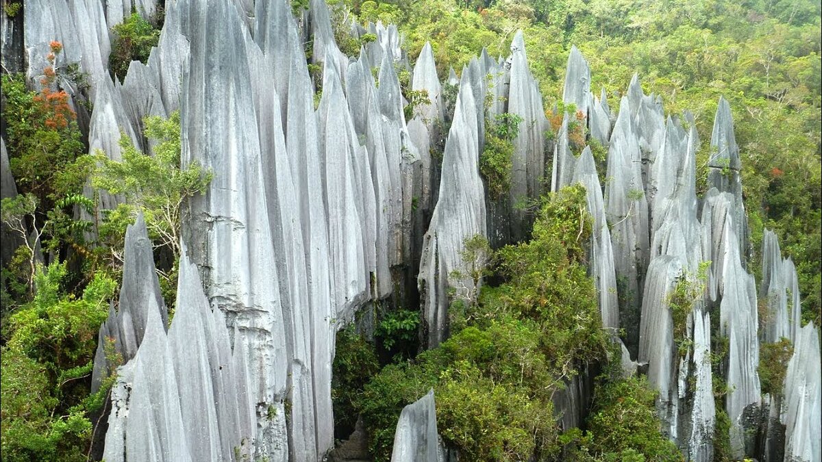 Национальный парк Гунунг-мулу