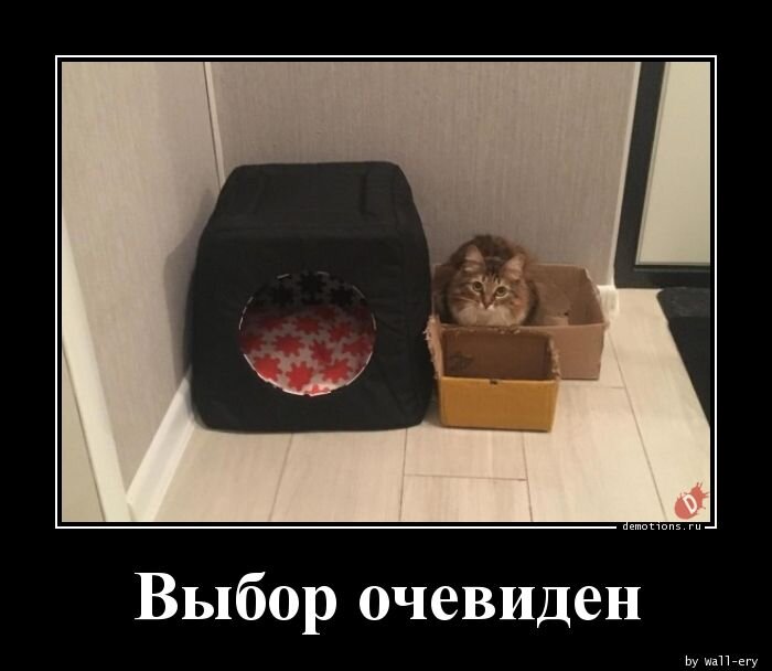 Выбор очевиден прикол.