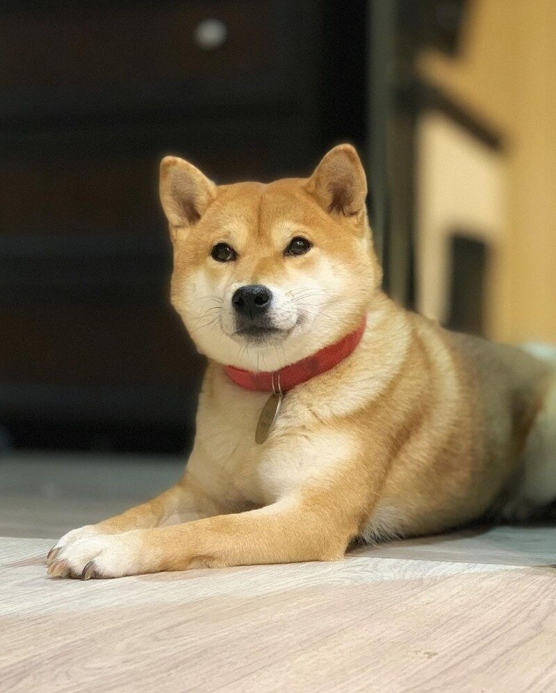 Фото  https://www.instagram.com/p/CHxtjpvD66F/