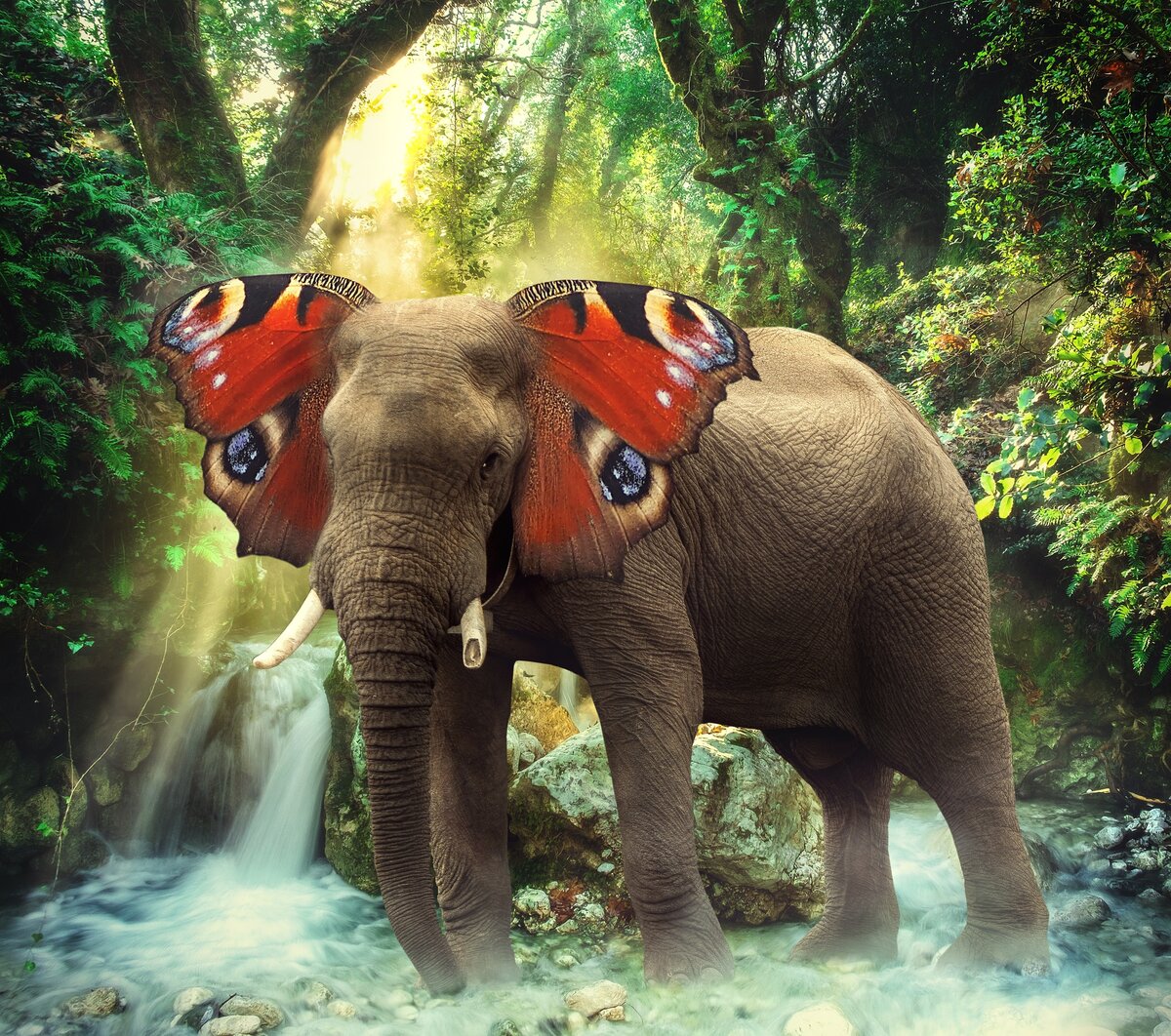 Что самое главное между бабочкой и слоном. Слон бабочка. Слоны на водопаде. Слон бабочка картинки.
