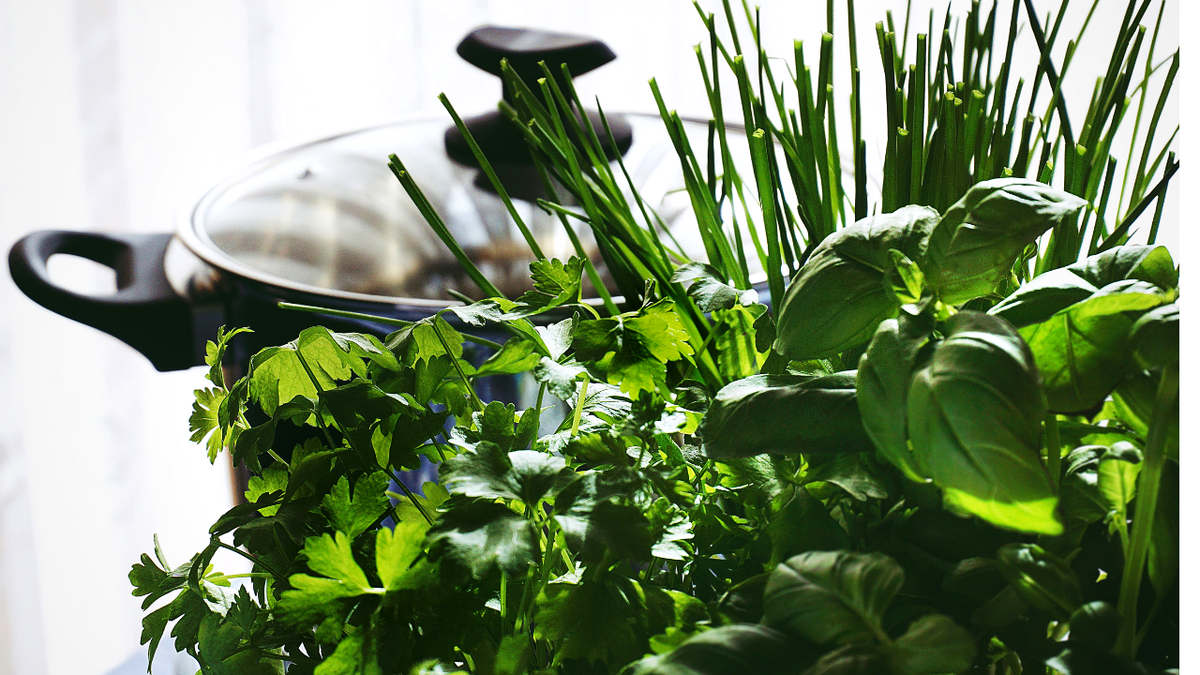 Даже зимой зелень  будет на вашем столе