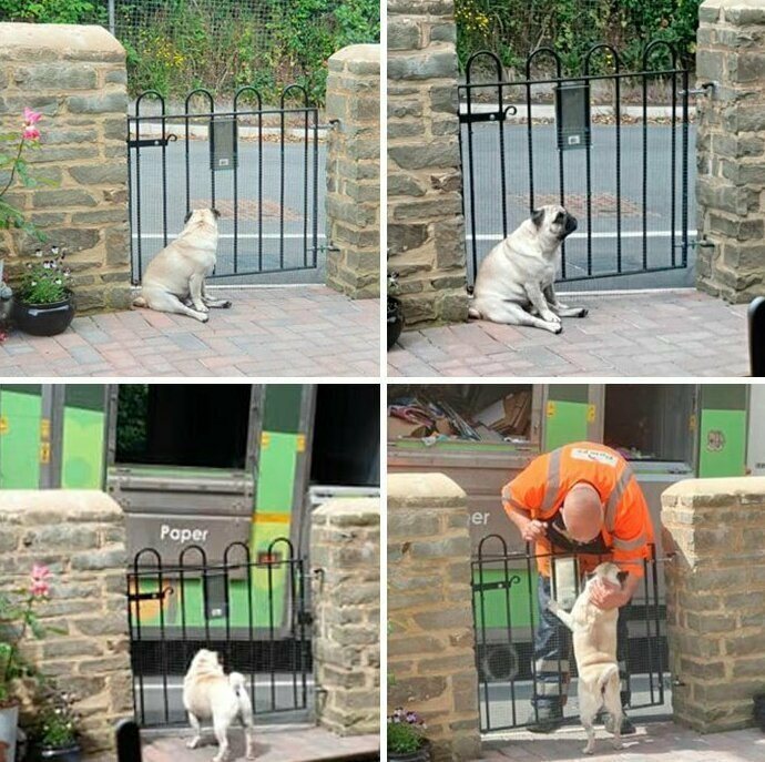 Источник фото: boredpanda.com