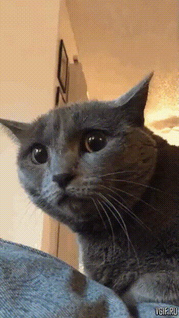 Этот взгляд словно высший суд...