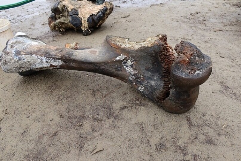 ФОТО: МВК ИМЕНИ ШЕМАНОВСКОГО