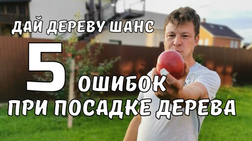 5 способов убить дерево в зародыше не совершайте их сажайте дерево правильно, сад мечты