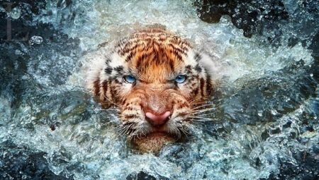 вообще он не такой страшный)))))))))))))