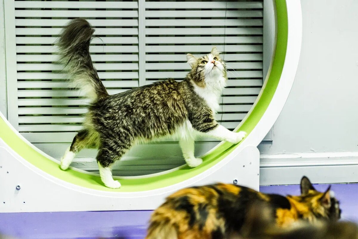 Маркус из FrrFrrHouse