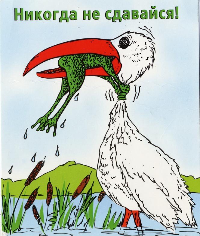 Будем следовать совету бесстрашных!!!. Фото из открытых источников. Яндекс картинки.