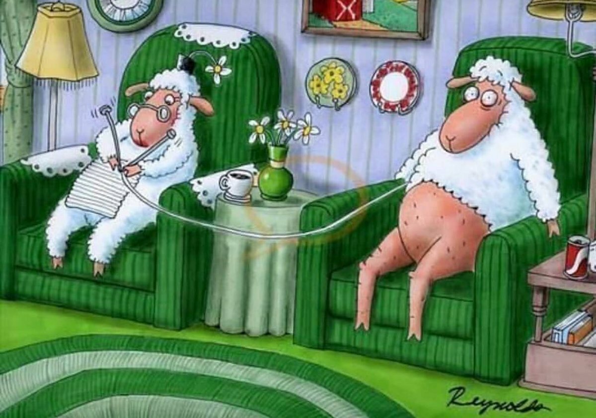 Из интернета для иллюстрации