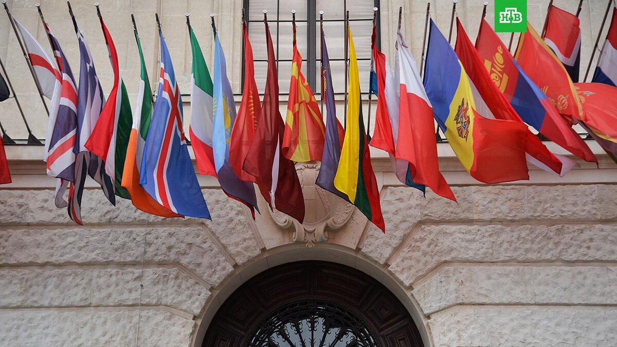    Фото: РИА Новости © 2022, Алексей Витвицкий