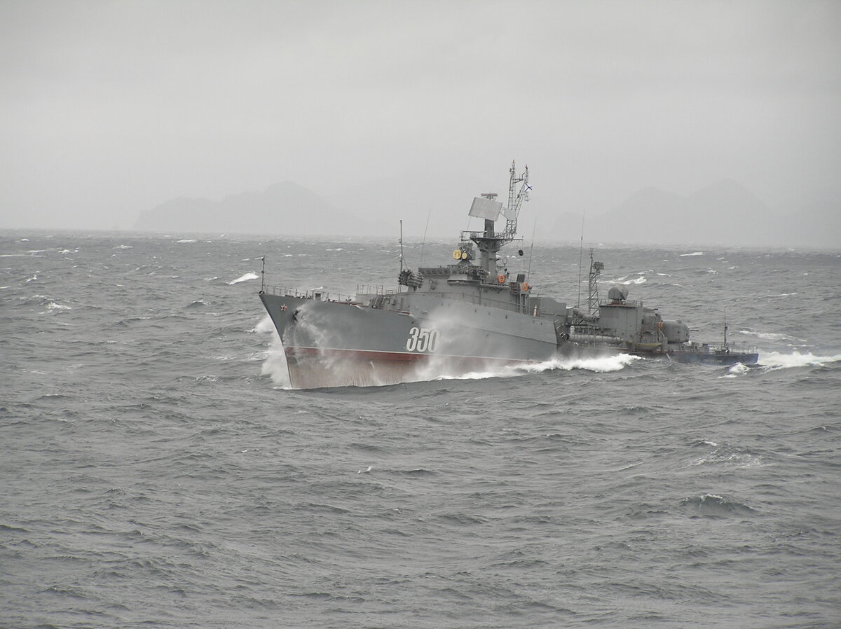 МПК 1124М. Фото https://sites.wrk.ru/sites/ru/a0/a0z/f/2015/01/03-3696560-mpk-sovgavan.jpg