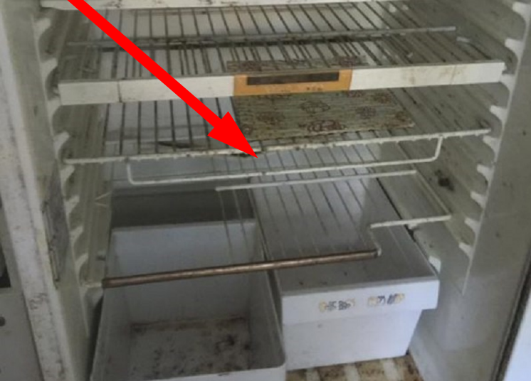 Не доводите до такого состояния