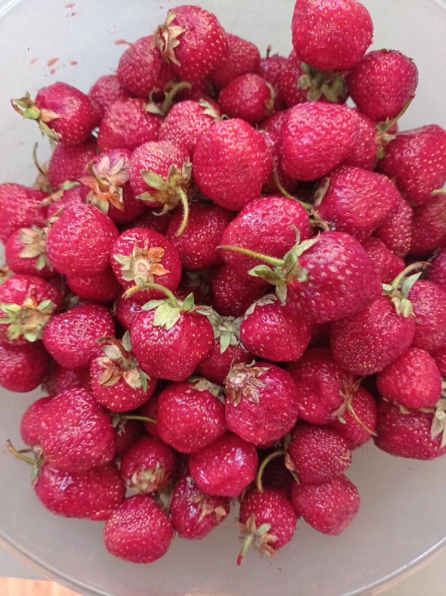 Фото автора канала "Два едока. Клава"